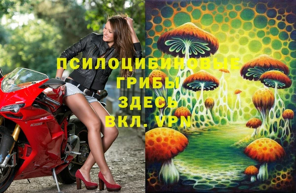 скорость Алзамай