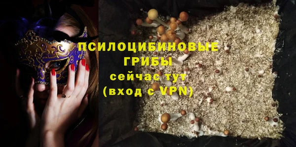 героин Алексин