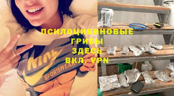 героин Алексин