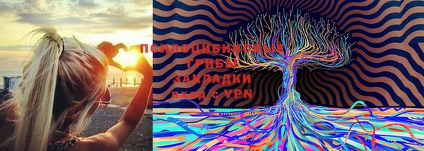 героин Алексин