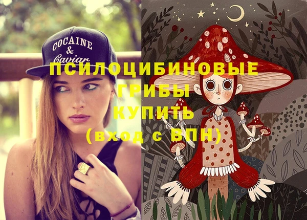 героин Алексин