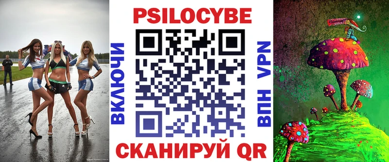 магазин Калач-на-Дону Псилоцибиновые грибы Psilocybe